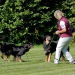 Aenya und Bonny in der Pause
